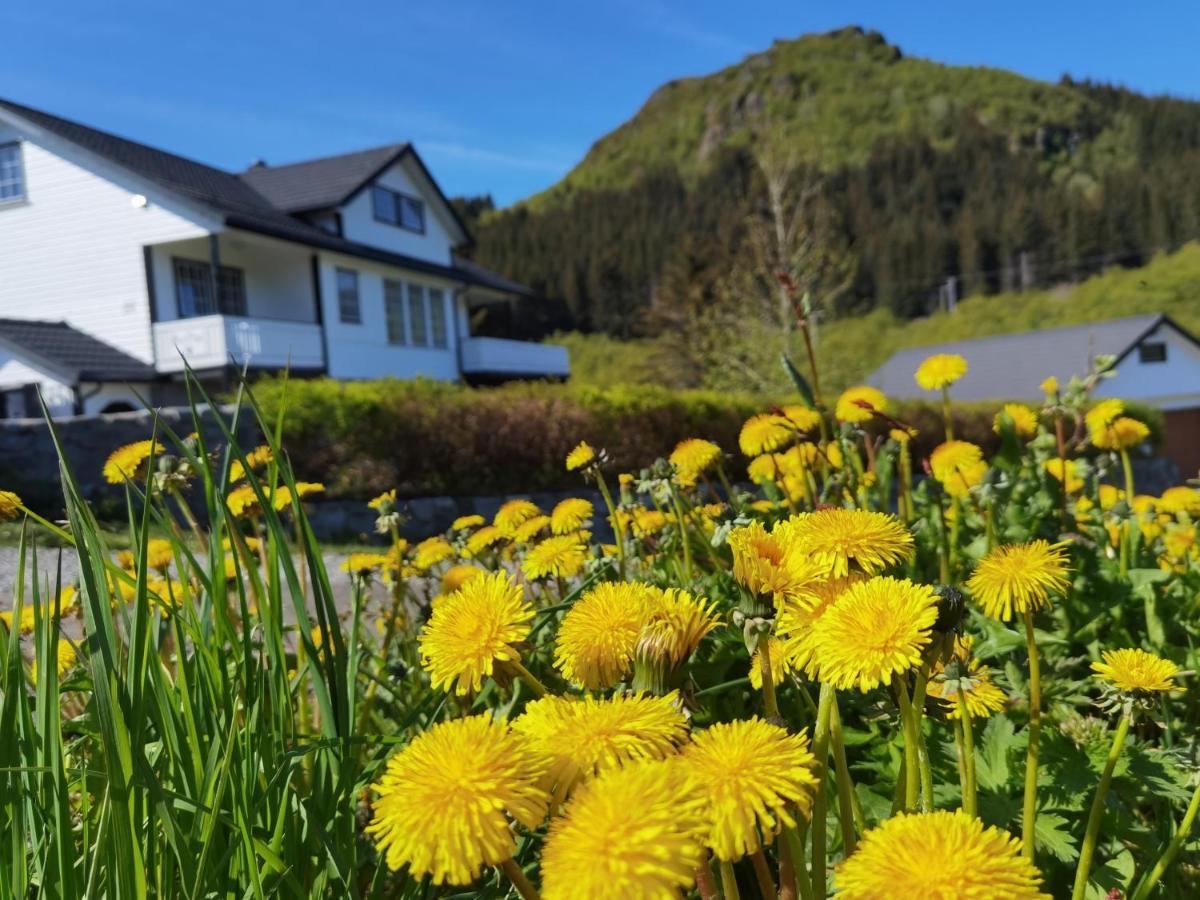 Banpim Hillside Lofoten With Jacusszi Gravdal  외부 사진