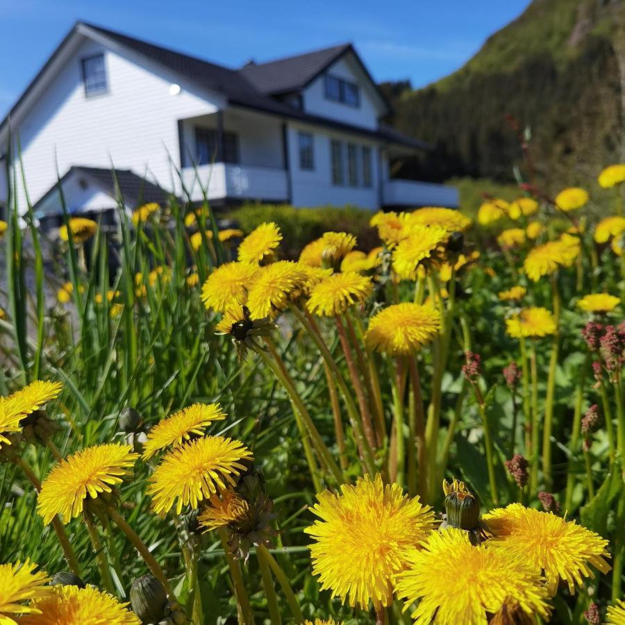 Banpim Hillside Lofoten With Jacusszi Gravdal  외부 사진
